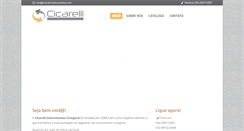 Desktop Screenshot of cicarelli-instrumentos.com